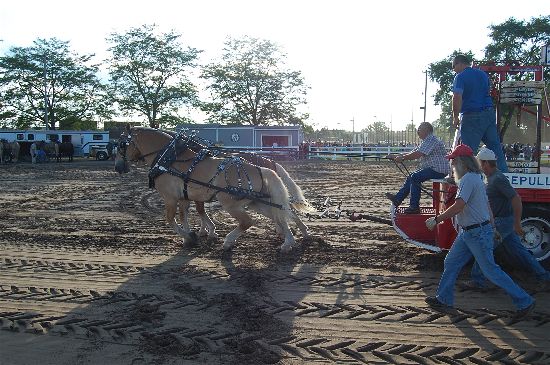 2016 fair horse pull 4-opt