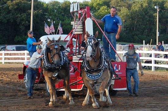 2016 fair horse pull 6-opt