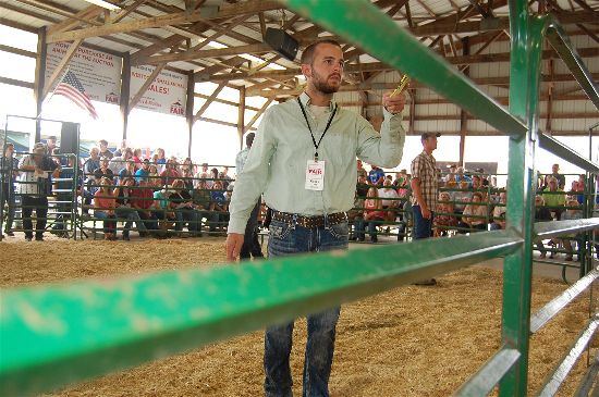 2016 fair livestock auction 8-opt