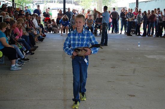 2016 small animal sale 5-opt