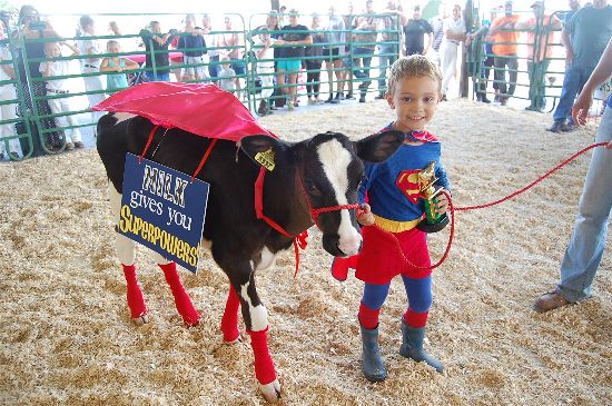 Eli Daniels won the 2016 Dairy Futurity contest.