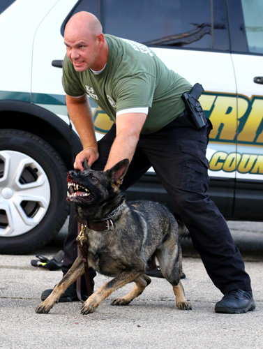 Deputy Terry Tifft and his partner Riggs gave a demonstration.