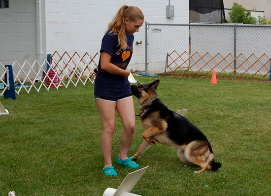 2019 Kenosha County Fair dog show coverage (PHOTOS) – West of the I